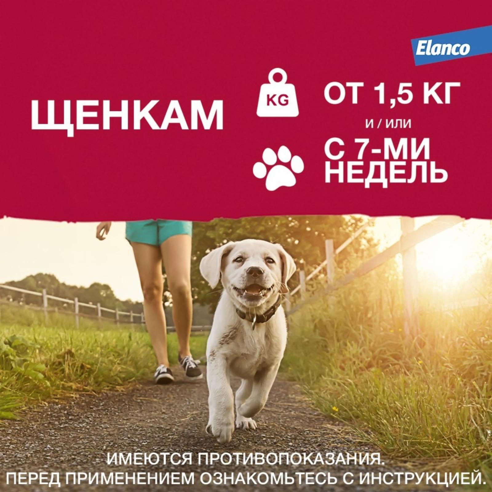 https://9ep5rgpevc.a.trbcdn.net/prd-jav-crm-content/viewContent/9344/1600/b91e70444a30dfbe52a2681780cfcc08.jpg