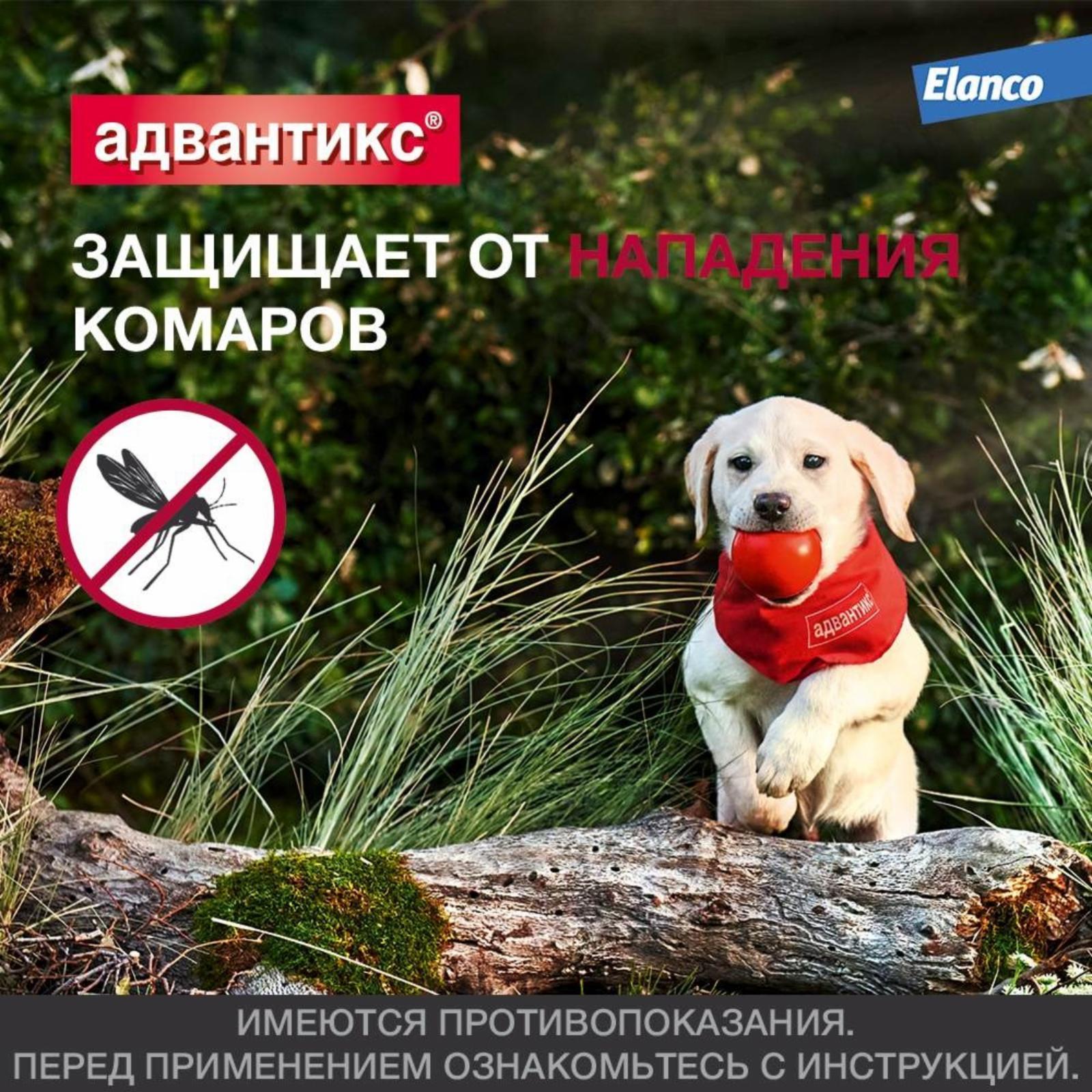 https://9ep5rgpevc.a.trbcdn.net/prd-jav-crm-content/viewContent/9344/1600/c34d0ad9a5edec7fccc193de9b53ff74.jpg