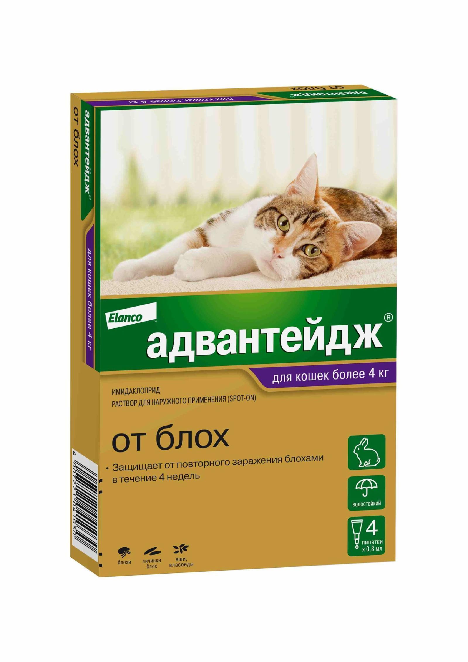 https://9ep5rgpevc.a.trbcdn.net/prd-jav-crm-content/viewContent/9346/1600/5ed90d9143ff9ac0075cc35511a58b9e.jpg