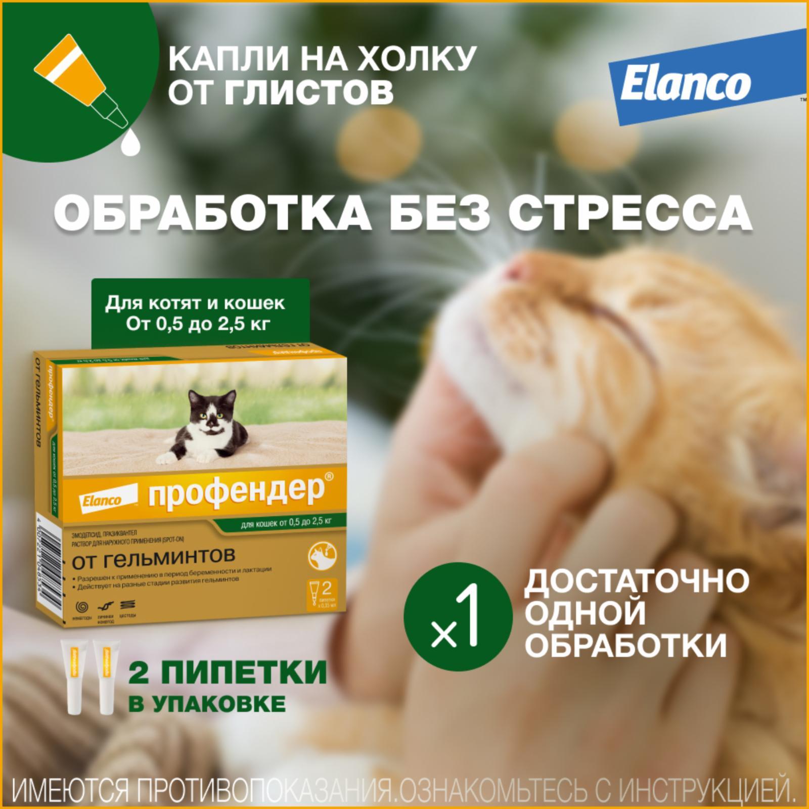 https://9ep5rgpevc.a.trbcdn.net/prd-jav-crm-content/viewContent/9413/1600/1482accf-c947-4470-9cfa-cd79beccb24e.jpg