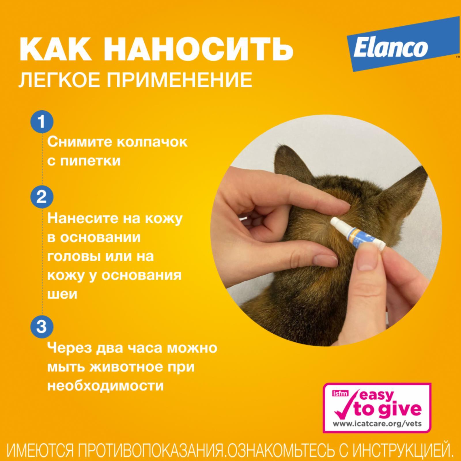 https://9ep5rgpevc.a.trbcdn.net/prd-jav-crm-content/viewContent/9413/1600/3a3dde8e-9b74-4295-8eb3-d6a1fc8f8db6.jpg