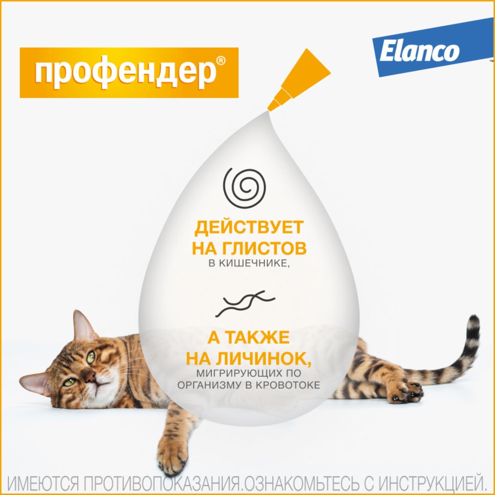https://9ep5rgpevc.a.trbcdn.net/prd-jav-crm-content/viewContent/9413/1600/a0578648-815d-4be5-b5ed-ddfed70c3585.jpg