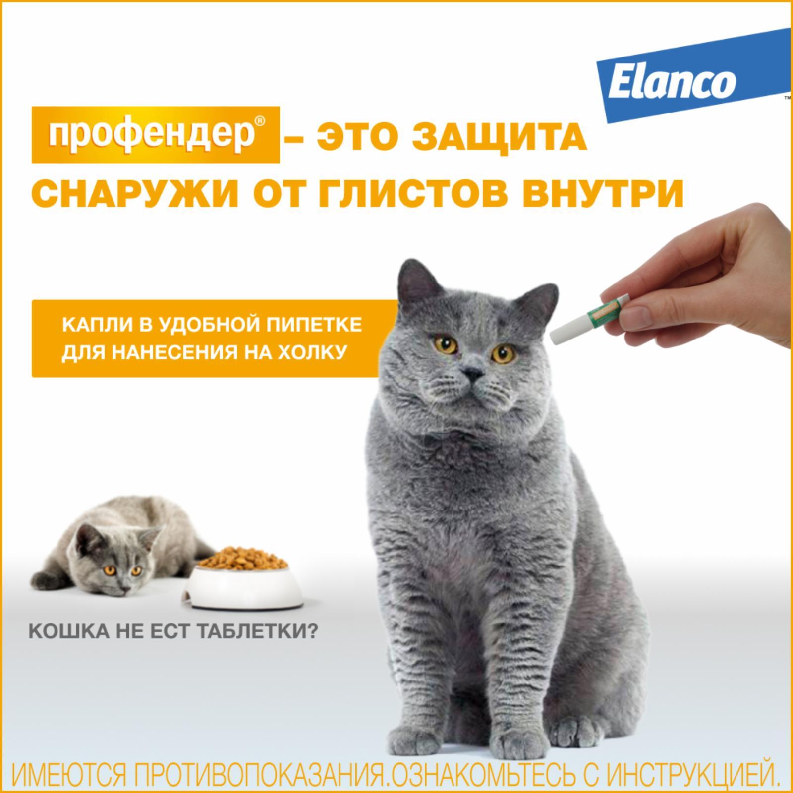 https://9ep5rgpevc.a.trbcdn.net/prd-jav-crm-content/viewContent/9413/1600/b677b592-b15f-4c95-b321-8d545d0e9036.jpg