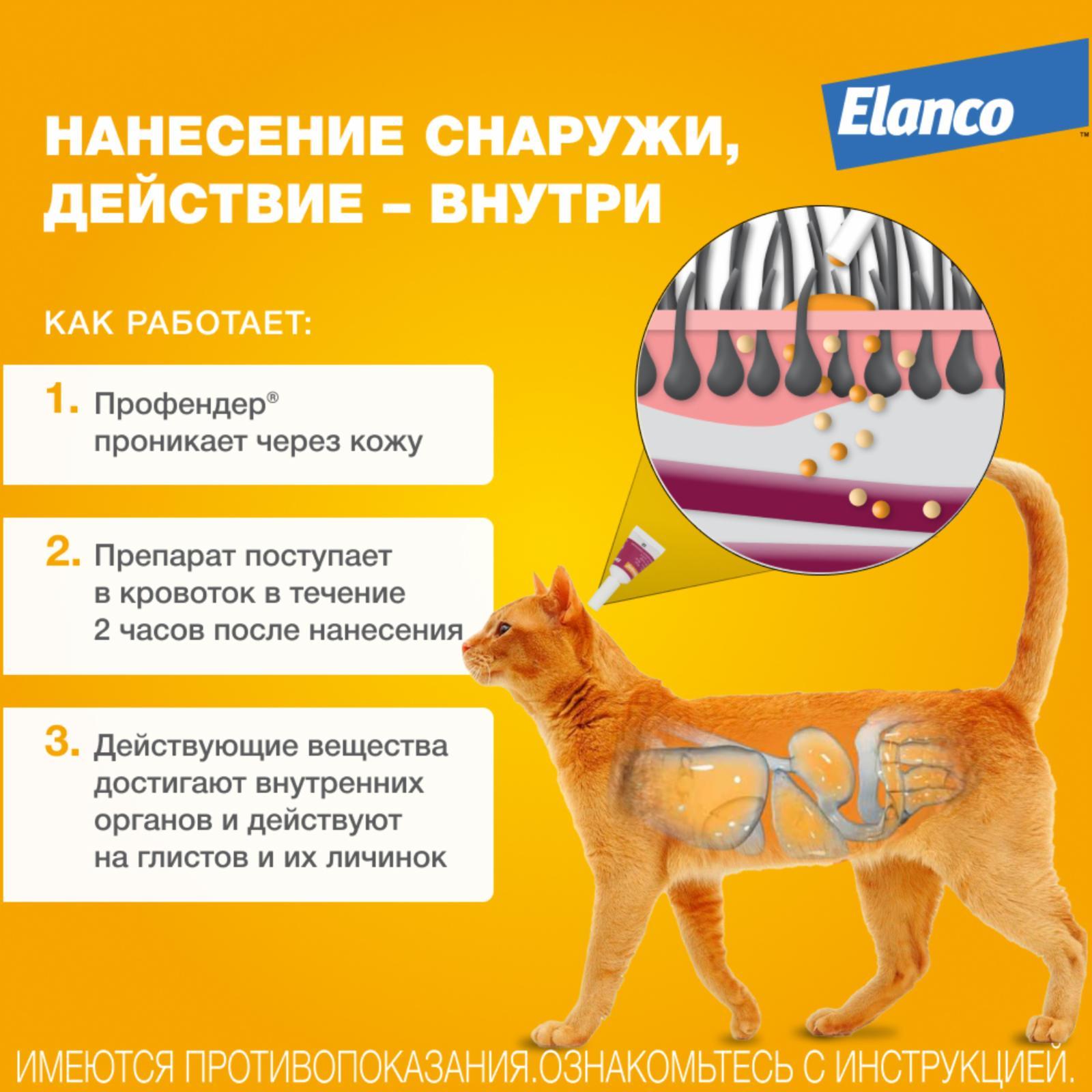 https://9ep5rgpevc.a.trbcdn.net/prd-jav-crm-content/viewContent/9413/1600/e3e01aab-7d4a-426d-80af-1282cb15bd02.jpg