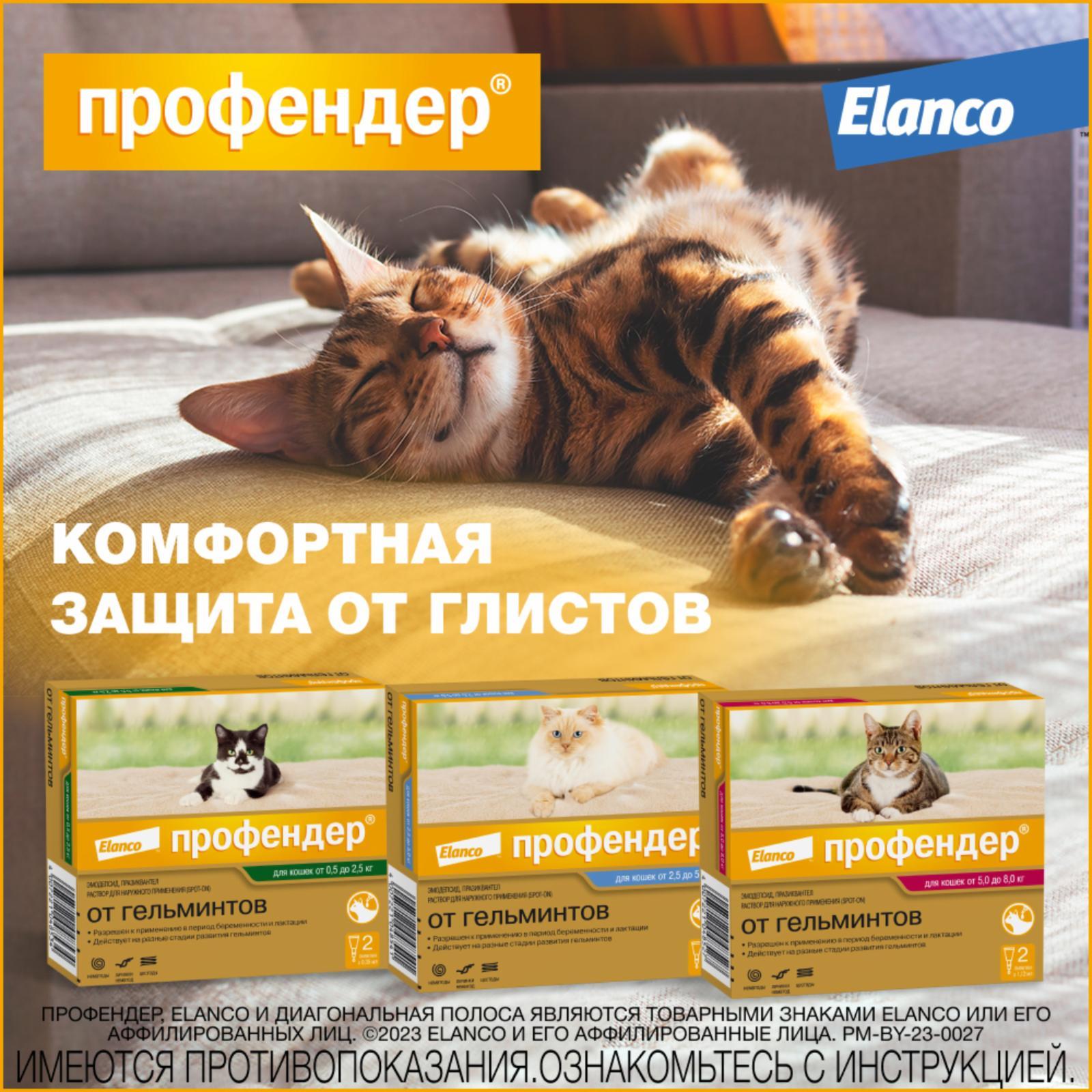 https://9ep5rgpevc.a.trbcdn.net/prd-jav-crm-content/viewContent/9413/1600/ebb69ce6-3ce3-4449-8777-dedff0b6834b.jpg