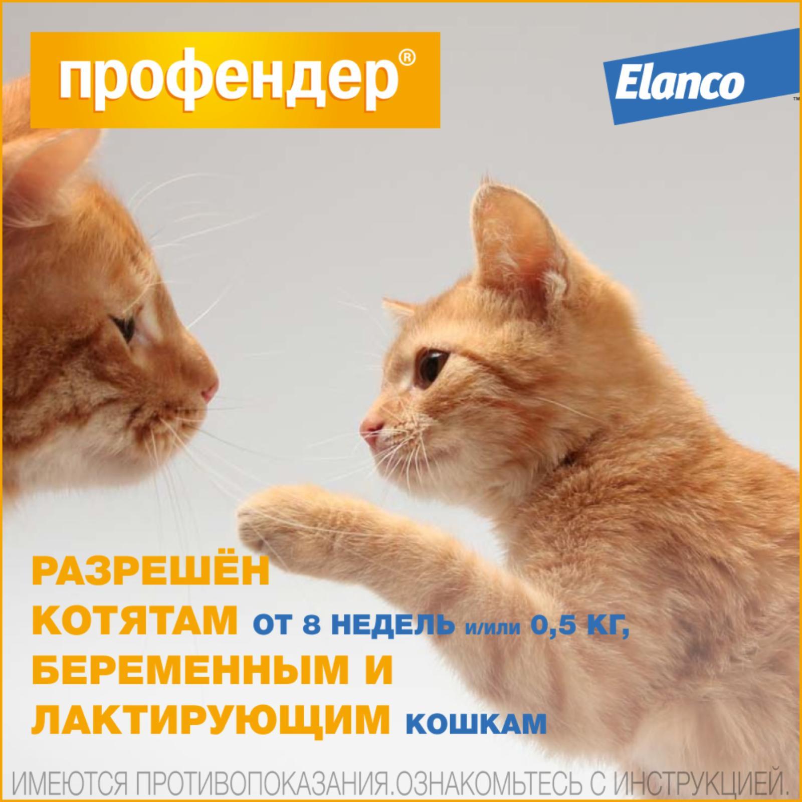 https://9ep5rgpevc.a.trbcdn.net/prd-jav-crm-content/viewContent/9413/1600/f2cbc21d-07dd-4bed-b1ba-e955615f5752.jpg
