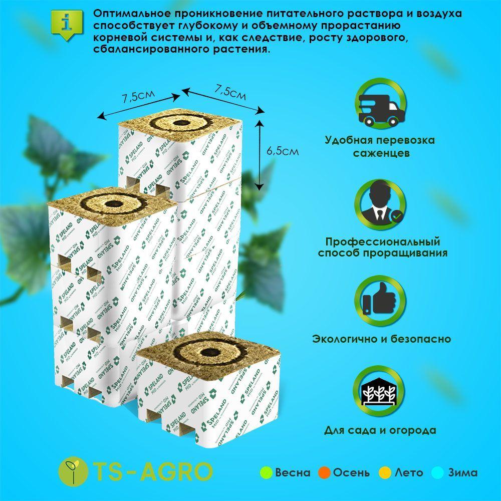 https://cdn1.ozone.ru/s3/multimedia-4/6636436816.jpg