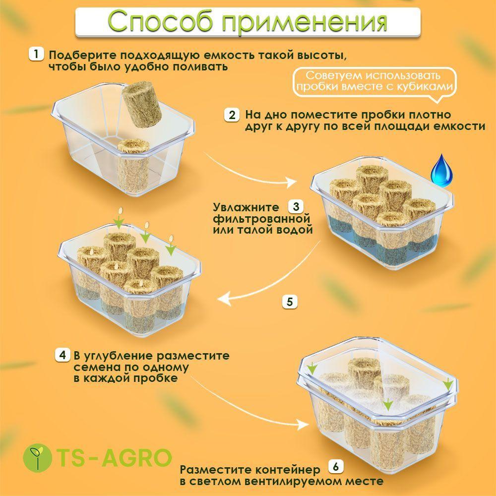https://cdn1.ozone.ru/s3/multimedia-c/6636406116.jpg