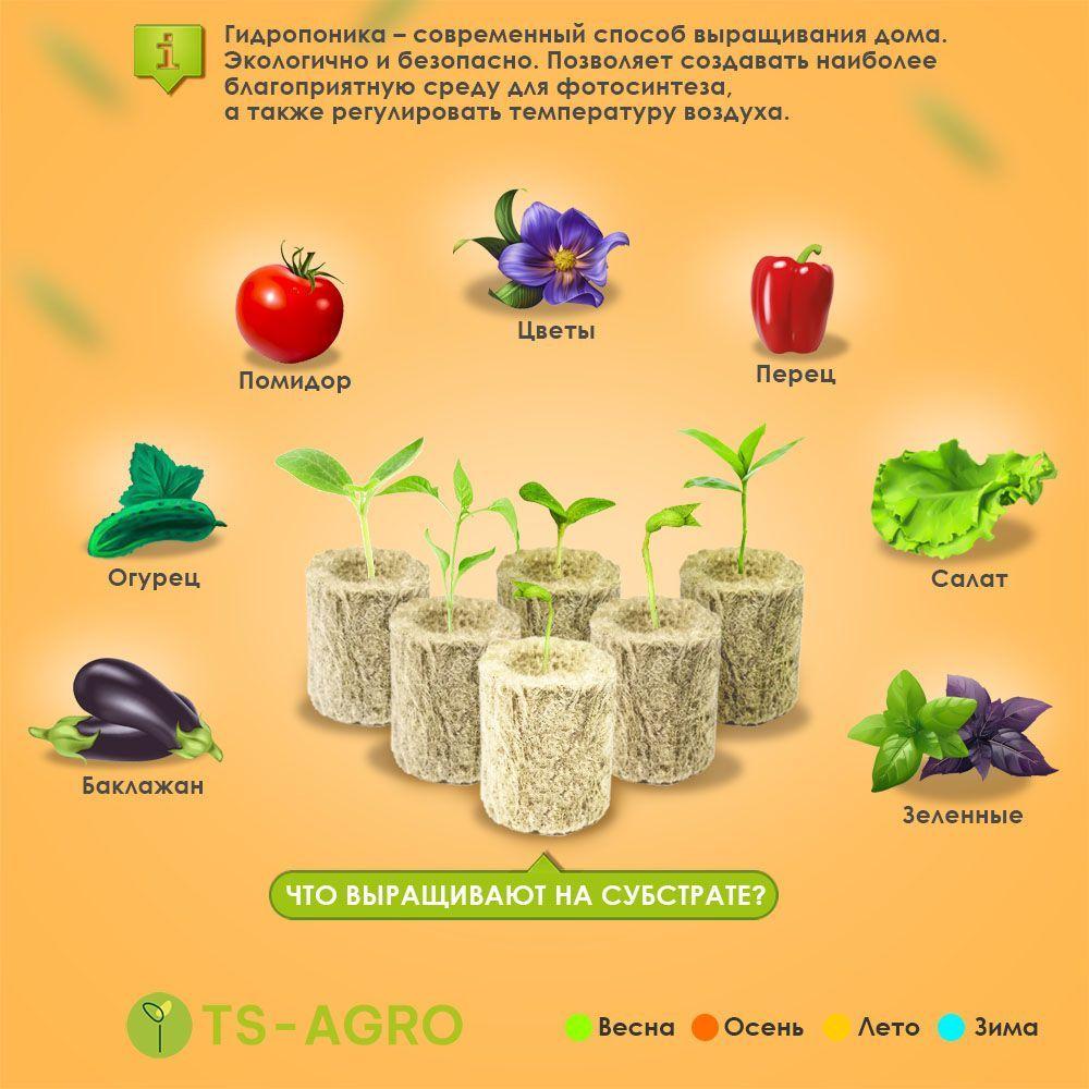 https://cdn1.ozone.ru/s3/multimedia-q/6636411350.jpg