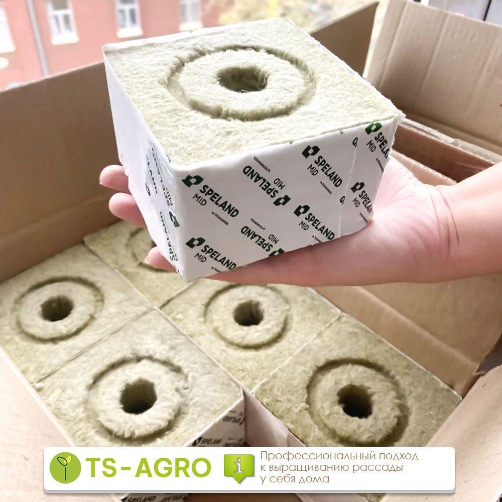 https://cdn1.ozone.ru/s3/multimedia-t/6636424997.jpg