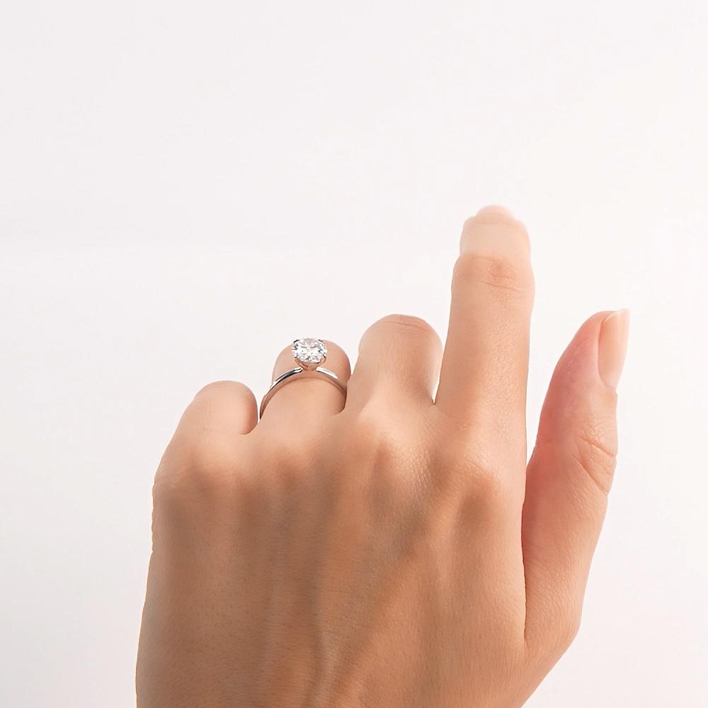 https://g8.sunlight.net/media/products/44005811-caa3-11f0-b6d3-005056bccafe.jpg
