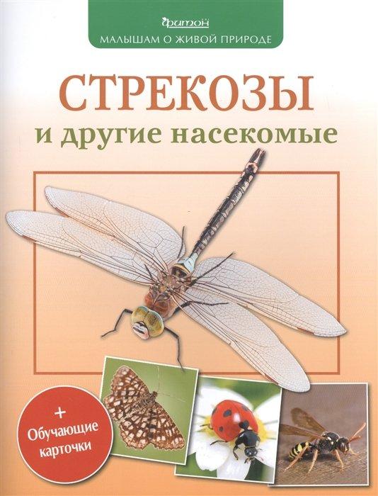 https://ndc.book24.ru/iblock/62e/62e4eddae1115fc135ad6ee7f6893c03/cf35ea70d36c56c4856cd02194c87e81.jpg