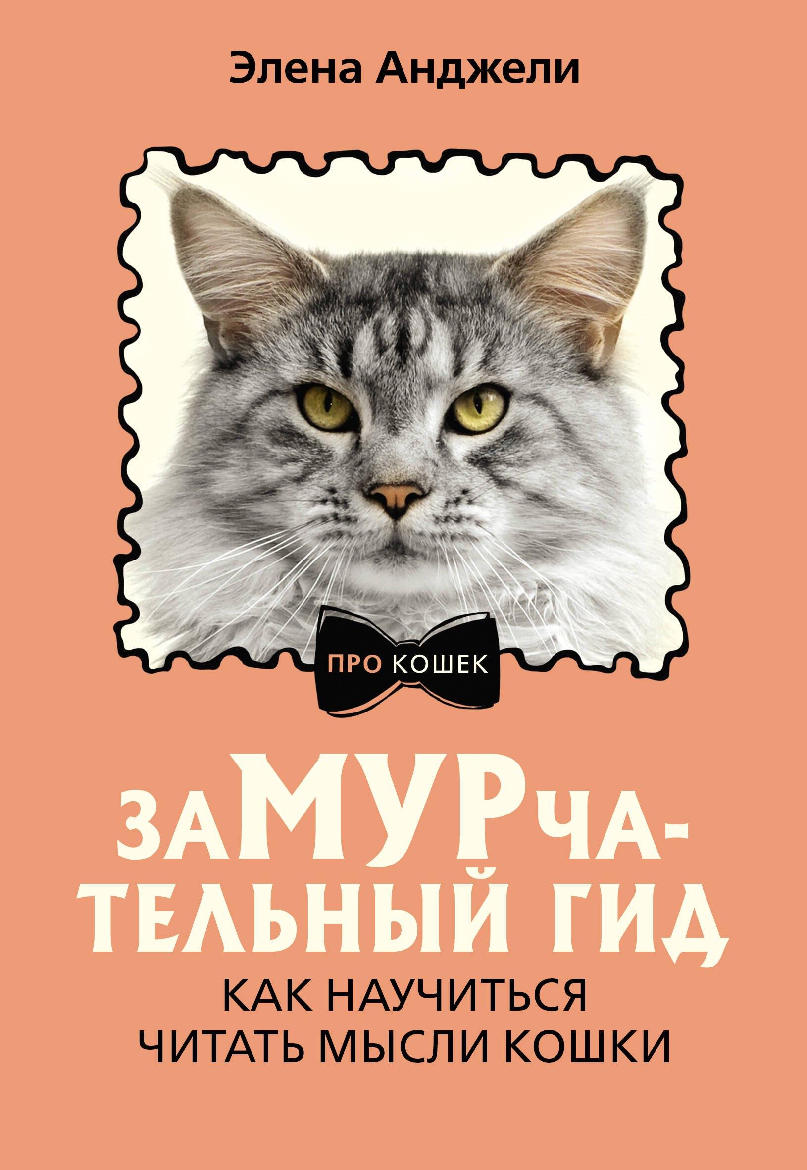 ЗаМУРчательный гид. Как научиться читать мысли кошки
