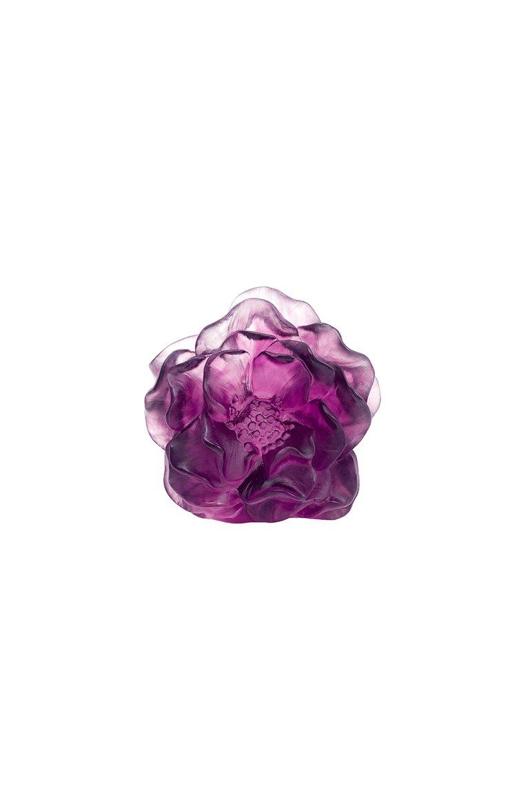 Цветок Camelia
