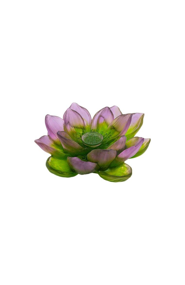 Декоративный цветок Jardin de Lotus