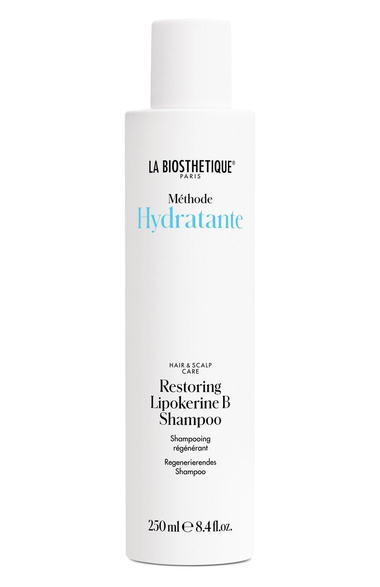 Восстанавливающий шампунь для сухой кожи головы Hydratante (250ml)