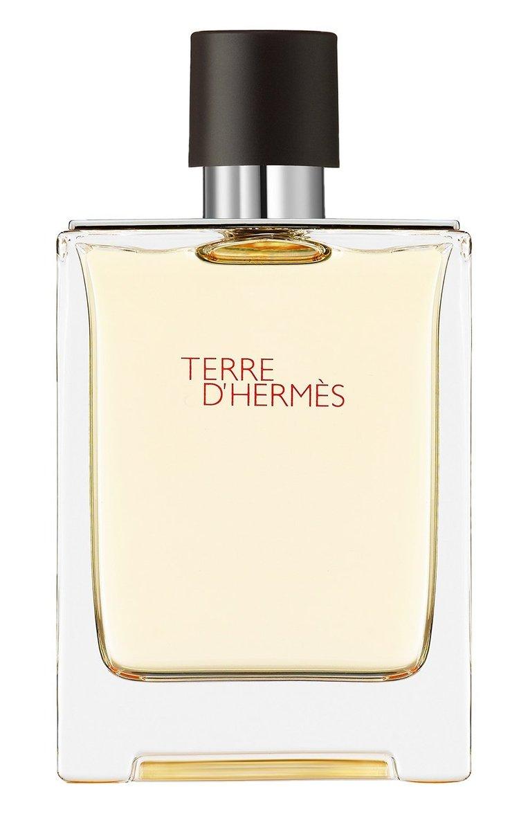 Туалетная вода Terre d'Hermès (100ml)