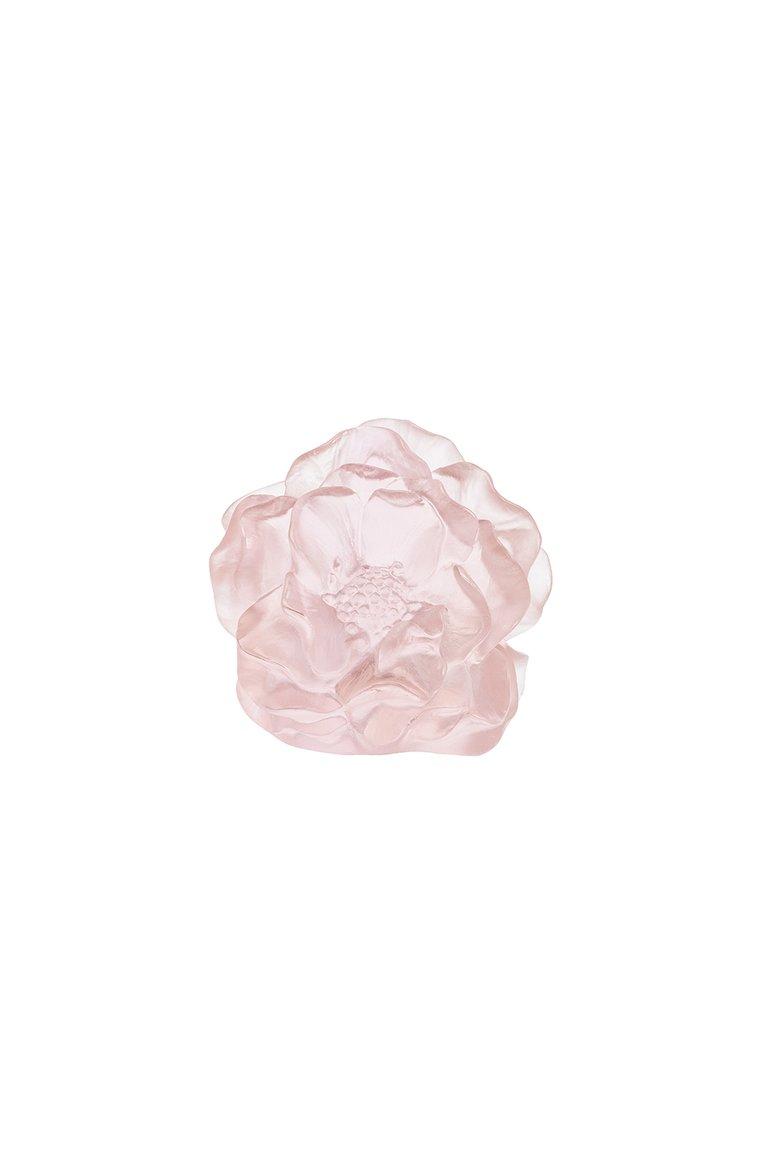 Цветок Camelia