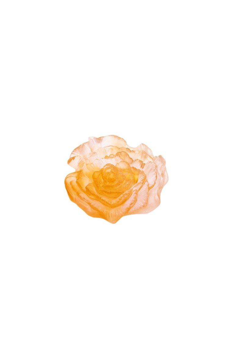 Цветок Rose Royale