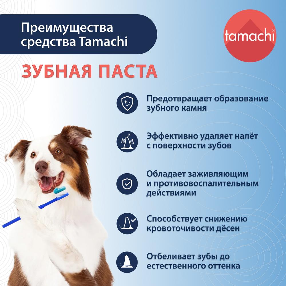 https://storage.yandexcloud.net/pim-core/339239.jpeg