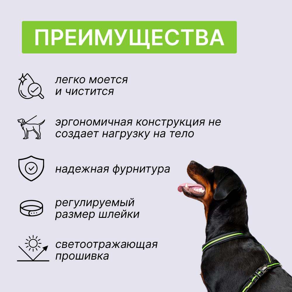 https://storage.yandexcloud.net/pim-core/373469.jpeg
