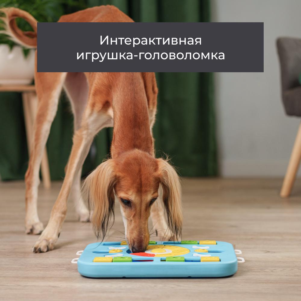 https://storage.yandexcloud.net/pim-core/377628.jpeg