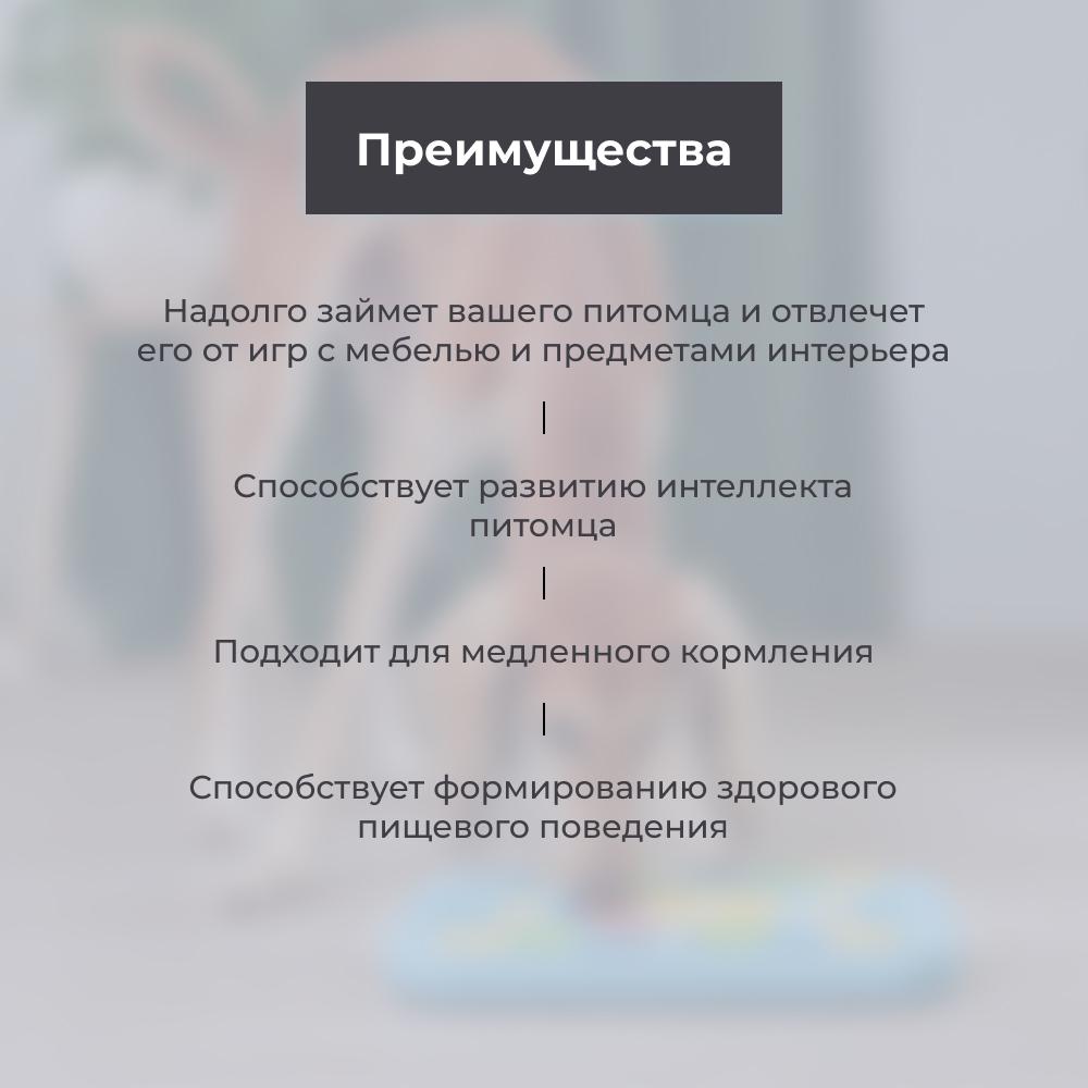 https://storage.yandexcloud.net/pim-core/377629.jpeg