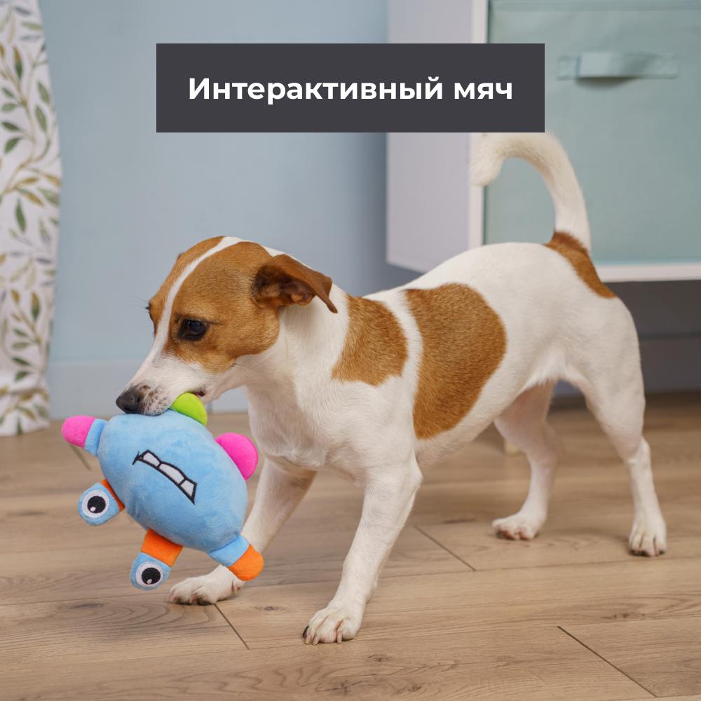 https://storage.yandexcloud.net/pim-core/390000.jpeg