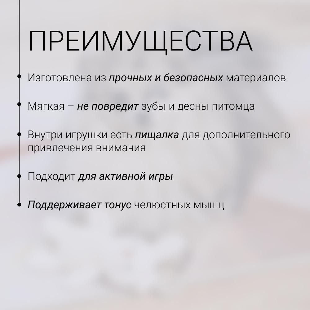 https://storage.yandexcloud.net/pim-core/429831.jpeg