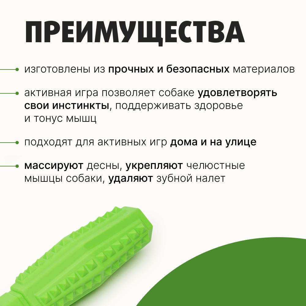 https://storage.yandexcloud.net/pim-core/434896.jpeg